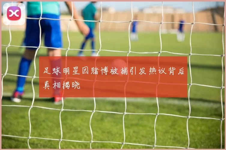 足球明星因赌博被捕引发热议背后真相揭晓