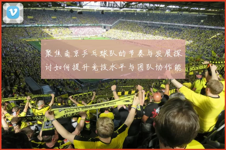 聚焦南京乒乓球队的节奏与发展探讨如何提升竞技水平与团队协作能力