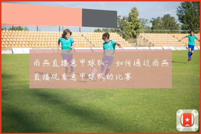 雨燕直播意甲球队：如何通过雨燕直播观看意甲球队的比赛