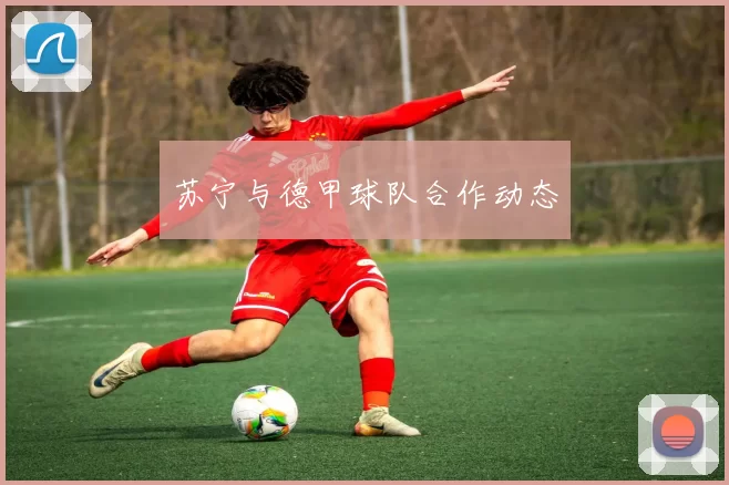 苏宁与德甲球队合作动态