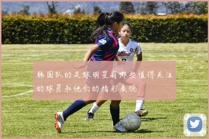 韩国队的足球明星有哪些值得关注的球员和他们的精彩表现