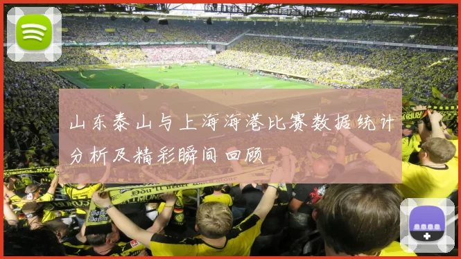 山东泰山与上海海港比赛数据统计分析及精彩瞬间回顾