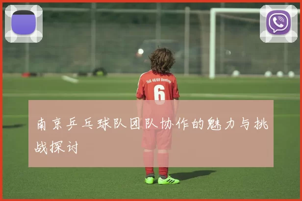 南京乒乓球队团队协作的魅力与挑战探讨