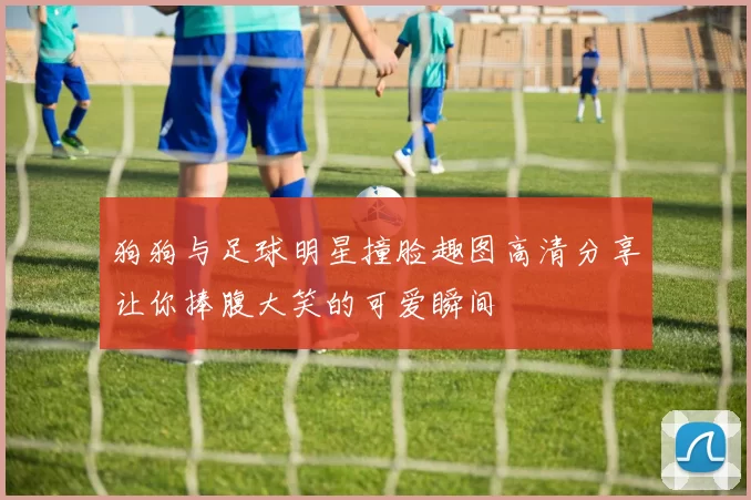 狗狗与足球明星撞脸趣图高清分享让你捧腹大笑的可爱瞬间