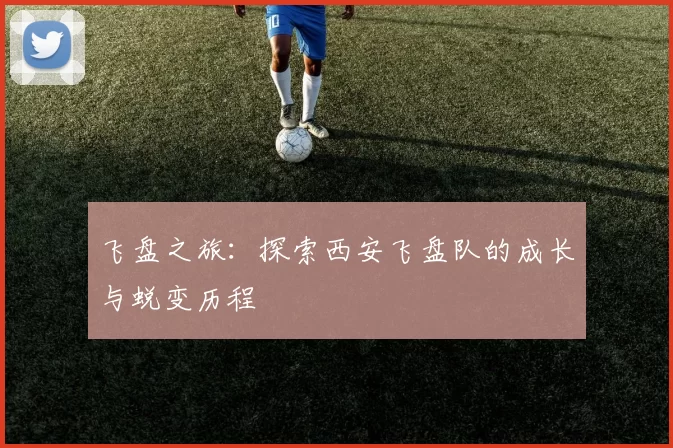 飞盘之旅：探索西安飞盘队的成长与蜕变历程