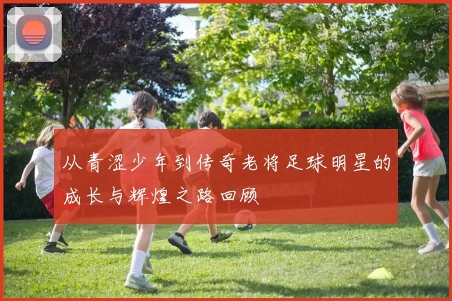 从青涩少年到传奇老将足球明星的成长与辉煌之路回顾