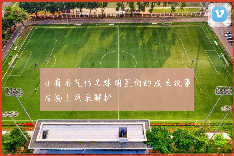 小有名气的足球明星们的成长故事与场上风采解析