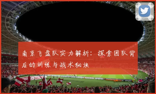 南京飞盘队实力解析：探索团队背后的训练与战术秘诀