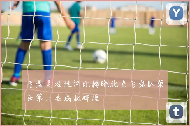飞盘灵活性评比揭晓北京飞盘队荣获第三名成就辉煌