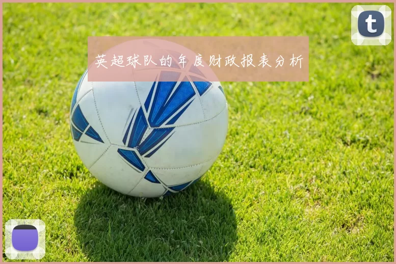 英超球队的年度财政报表分析
