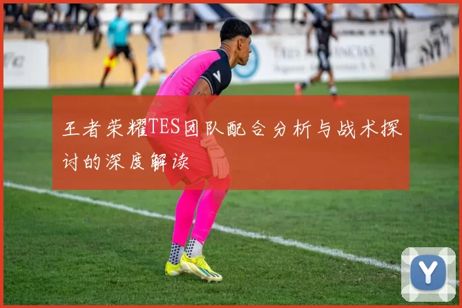 王者荣耀TES团队配合分析与战术探讨的深度解读