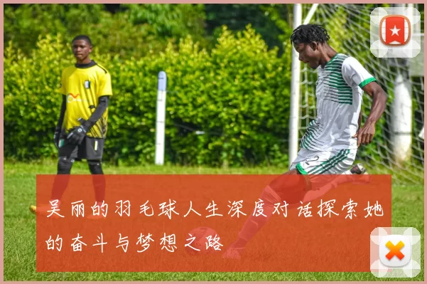 吴丽的羽毛球人生深度对话探索她的奋斗与梦想之路
