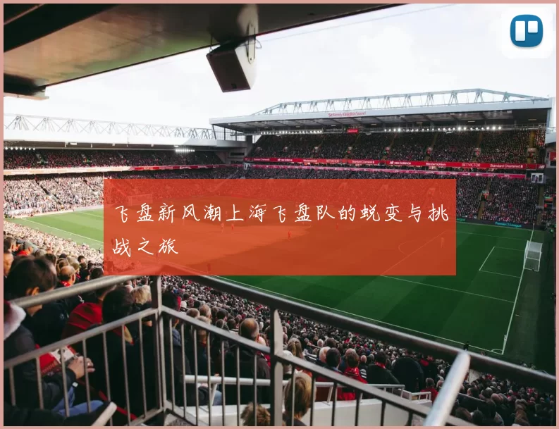 飞盘新风潮上海飞盘队的蜕变与挑战之旅