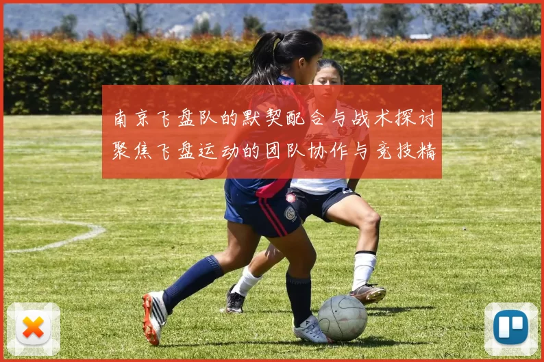南京飞盘队的默契配合与战术探讨聚焦飞盘运动的团队协作与竞技精神